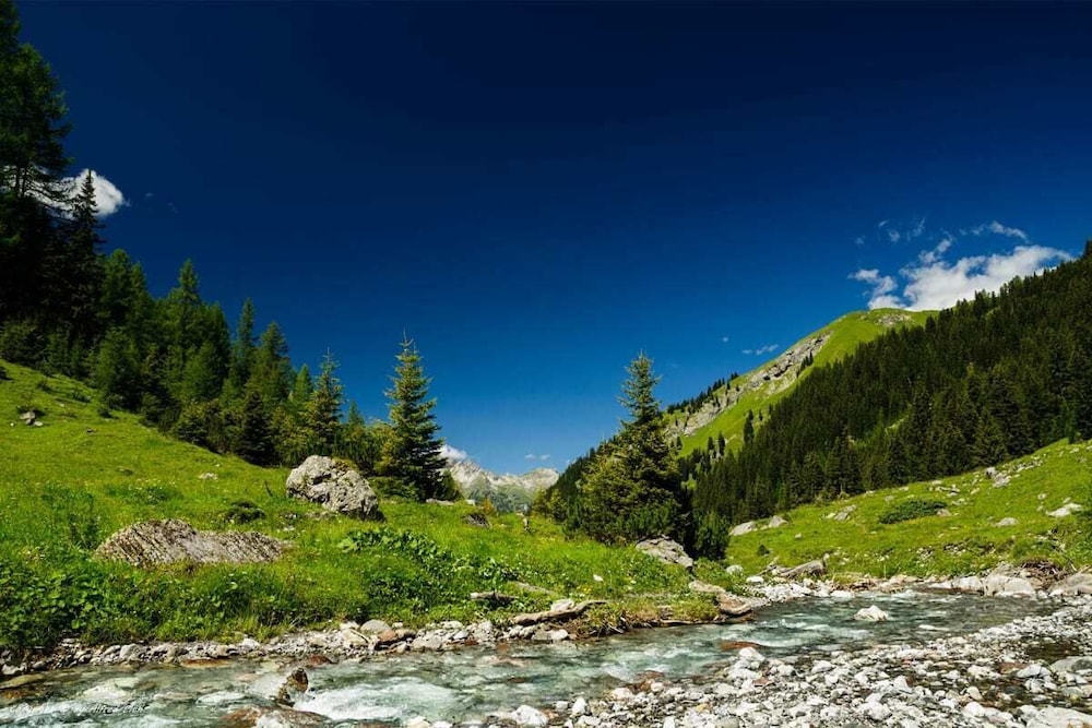 Gastbetrieb Alpenhof