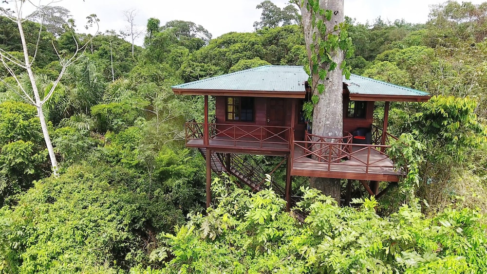 Hotel Maquenque Eco Lodge - Image 1