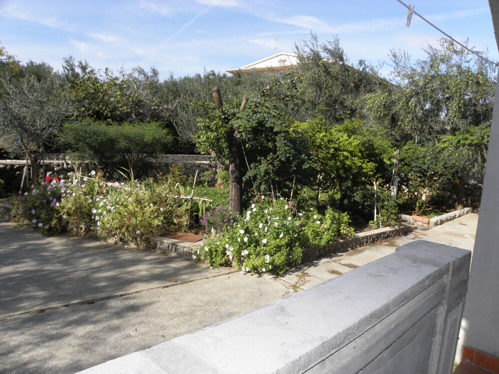 Photo 7
