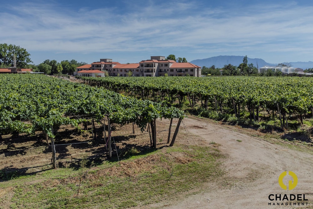 Hotel Buena Vid by Chadel Management - Image 1