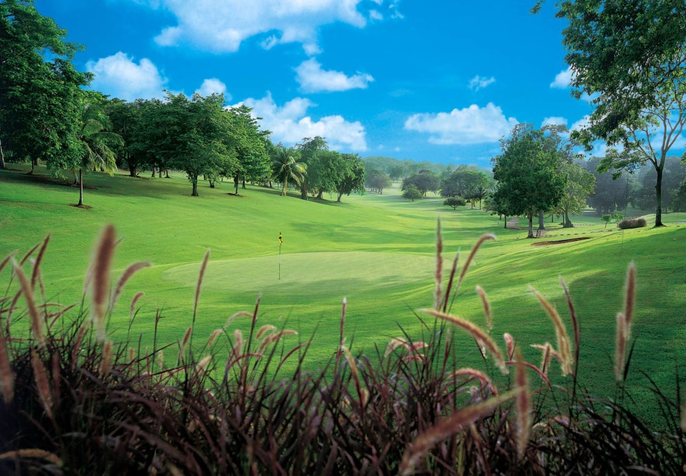 Jamaica Vacations - Sandals Ochi - ALL INCLUSIVE Couples Only - Property Image 80