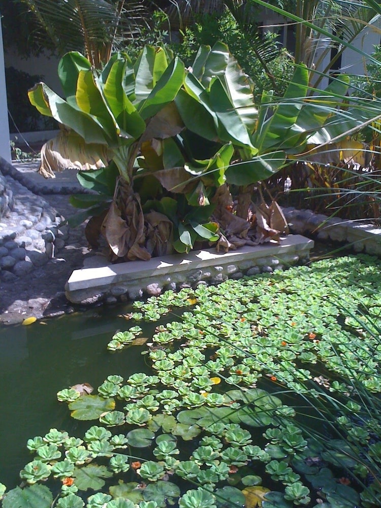 Garden Roomz Oman