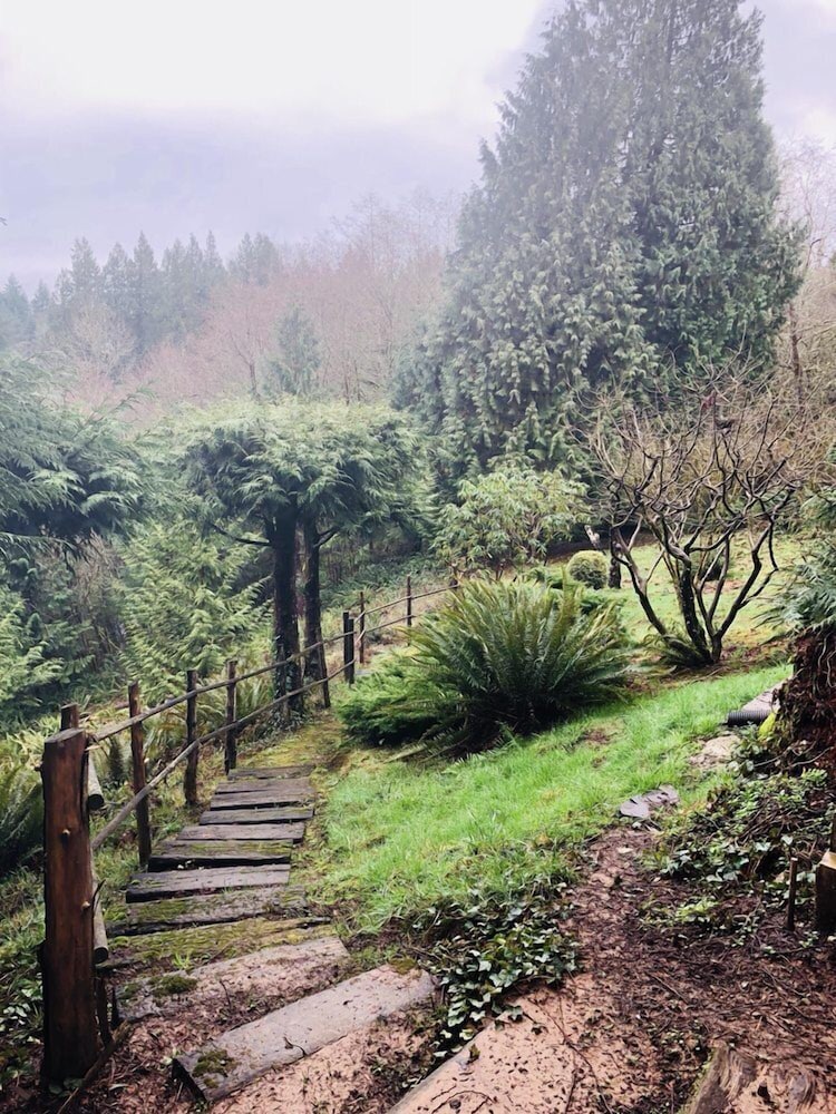 MapleRidge House: A BnB For All Seasons!
