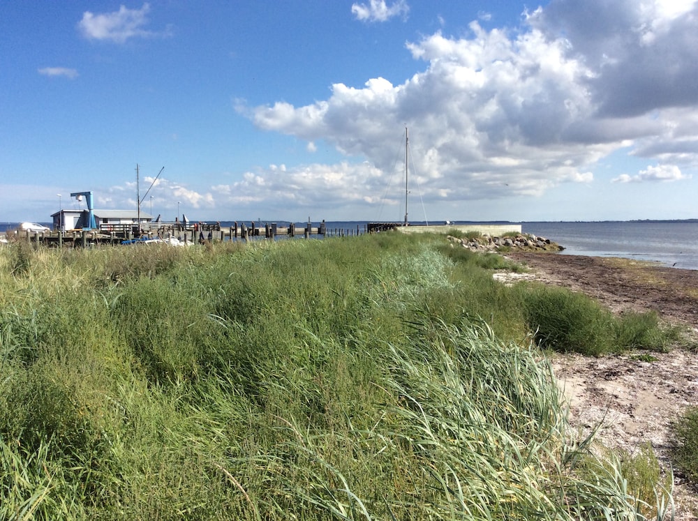 Askø Mejeri - B&B