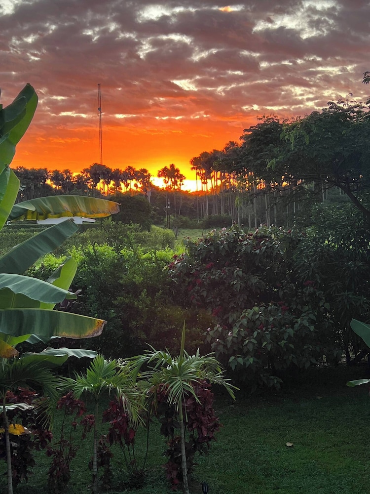 Luxury Glamping in Ruztico