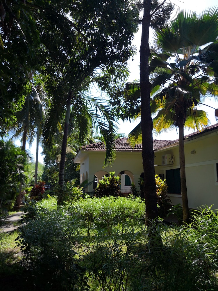 Jamboland-Diani