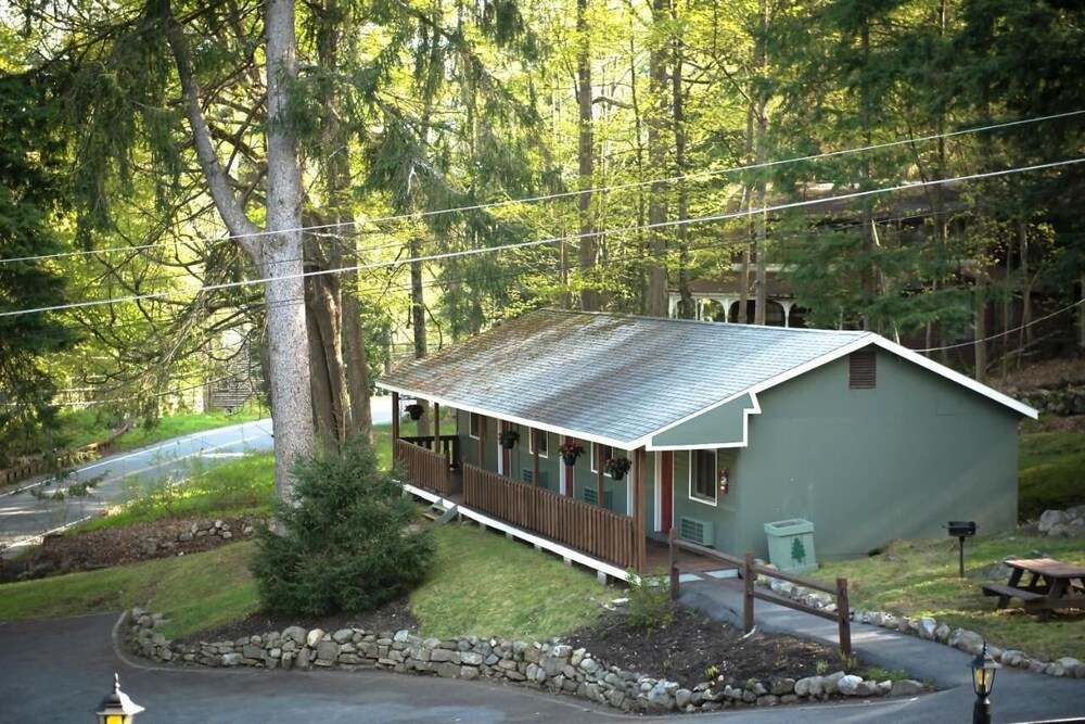 Forest Hill Lodge & Cabins