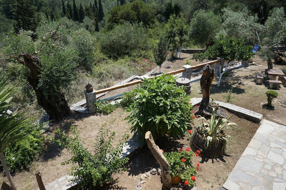 Photo 23