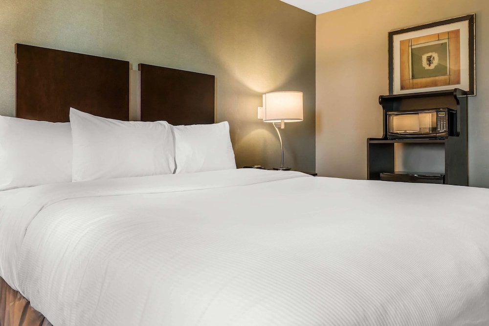 Clarion Inn - Property Image 32