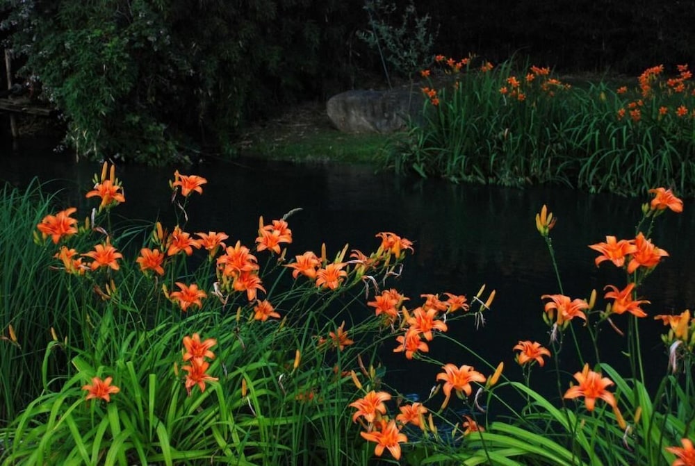 La Finestra Sul Fiume