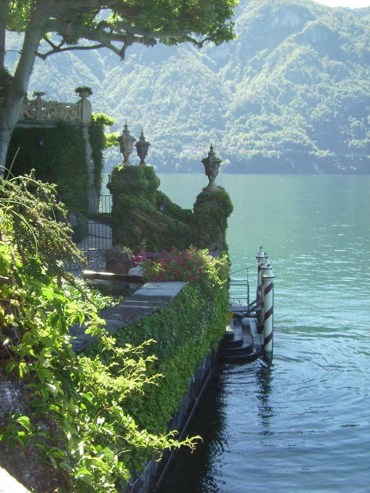 Azalea & Glicine House