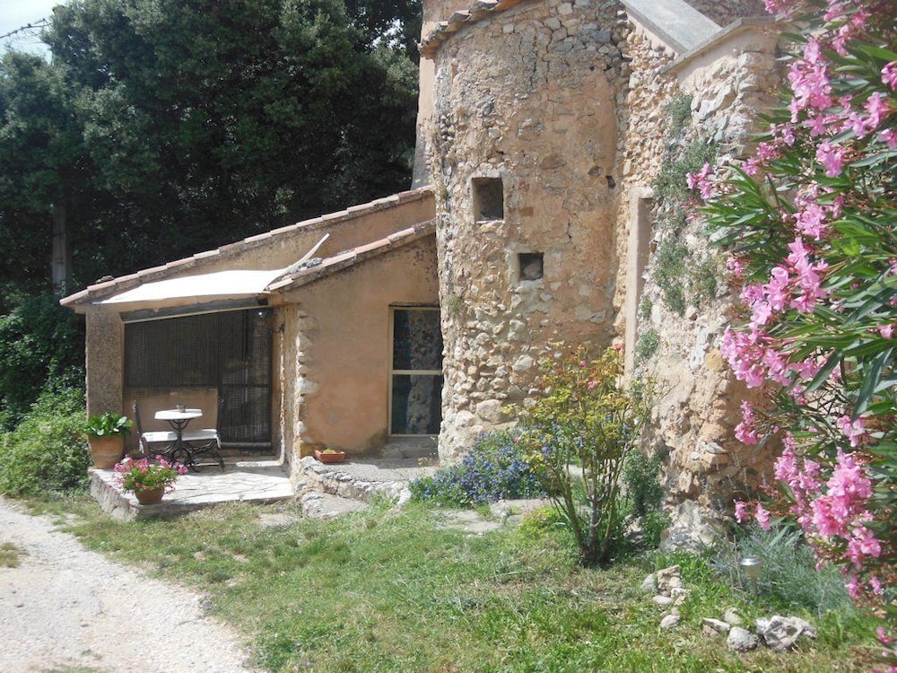 Photo 25