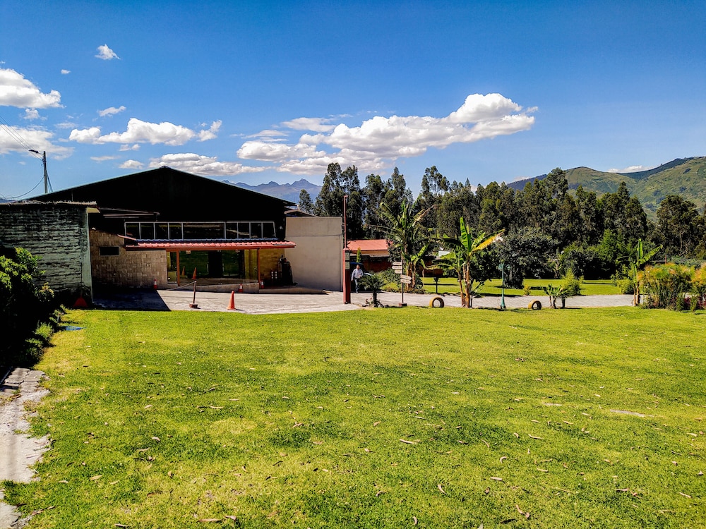 Ficus Lodge