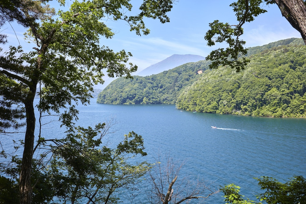 Photo 44