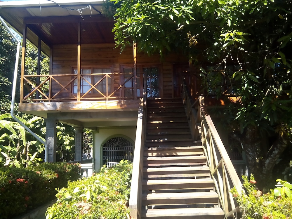 Photo 43