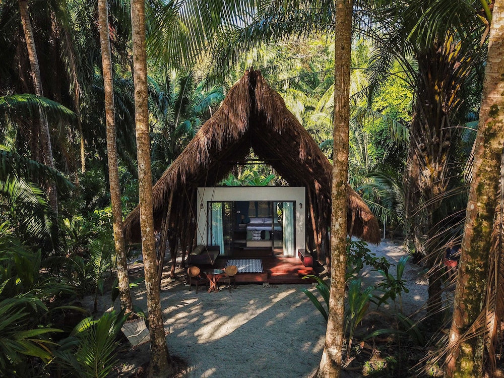 Isla Palenque Member of the Cayuga Collection