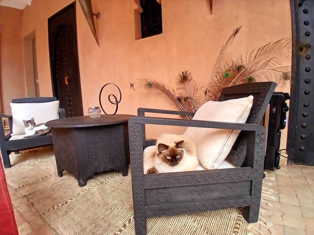 Riad Jardin des Orangers