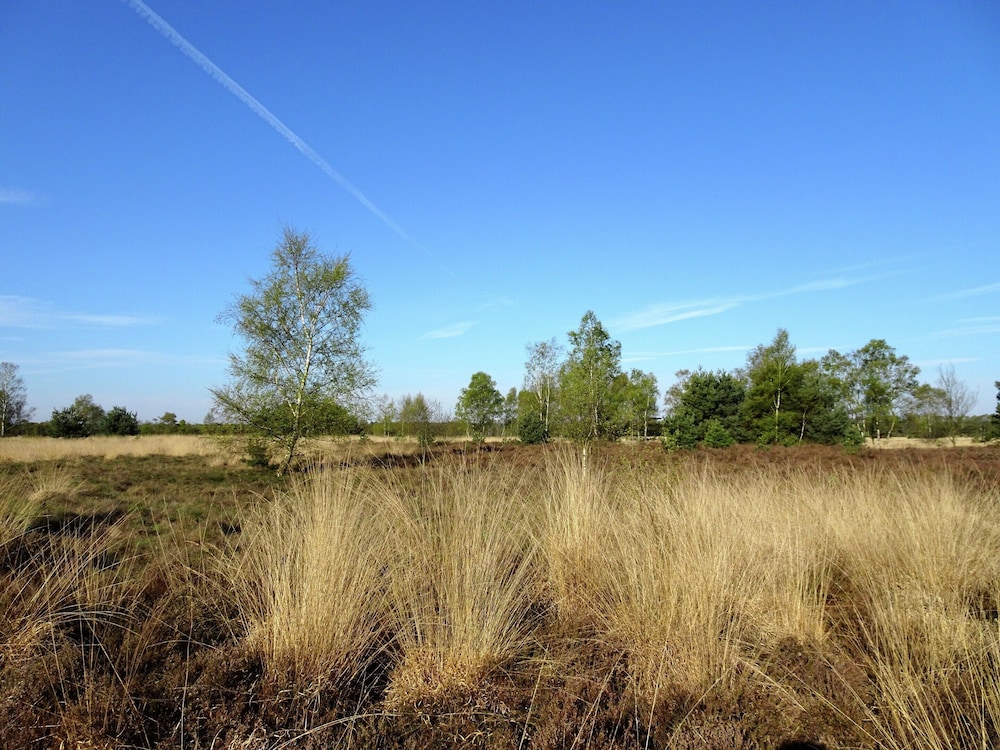 Spacious Holiday Home in Eersel With Open Fire view 4