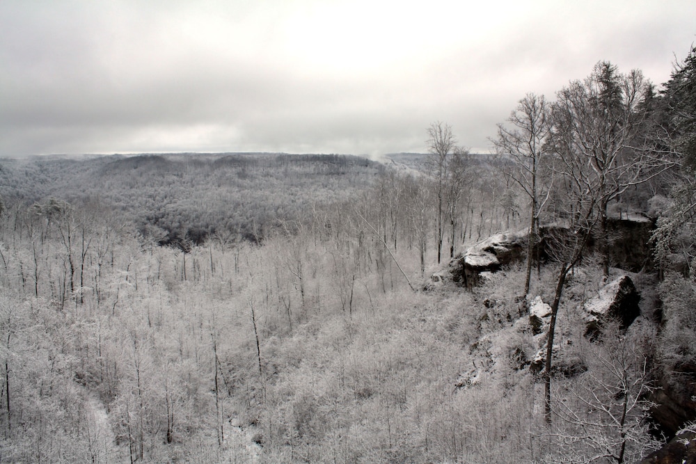Monterey Vacations - Garden Inn Bed  Breakfast at Bee Rock - Property Image 19