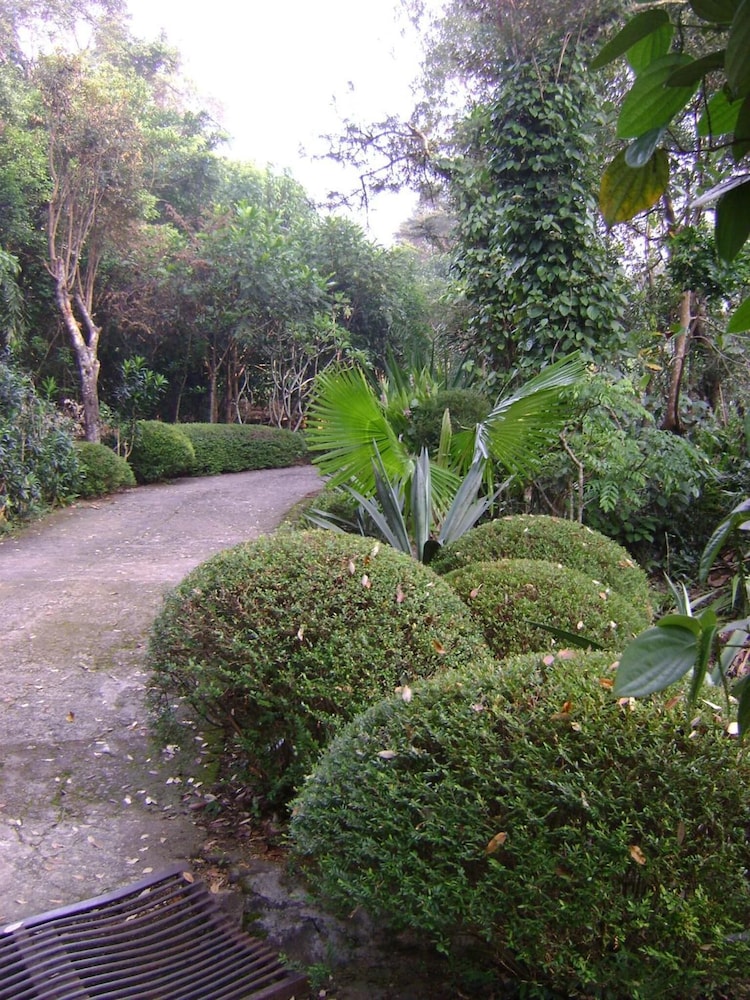 Photo 40
