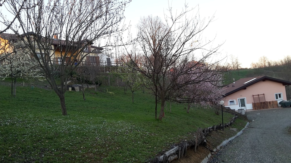 Photo 24