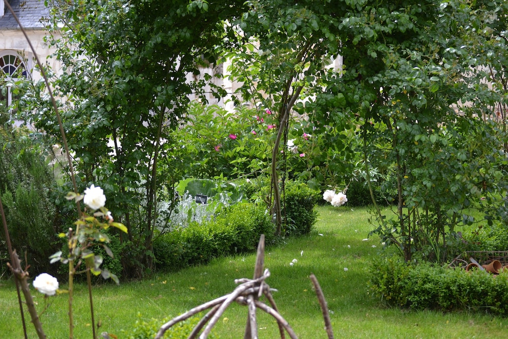 Photo 20