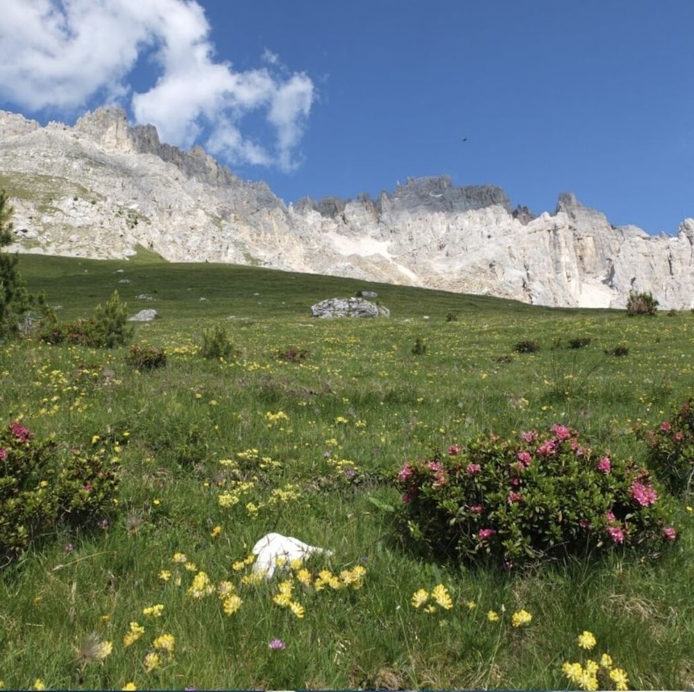 Lovely apt With Garden in South Tyrol view 2