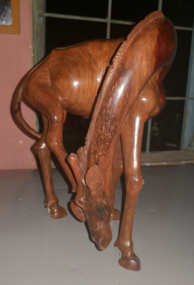 Jamboland-Diani