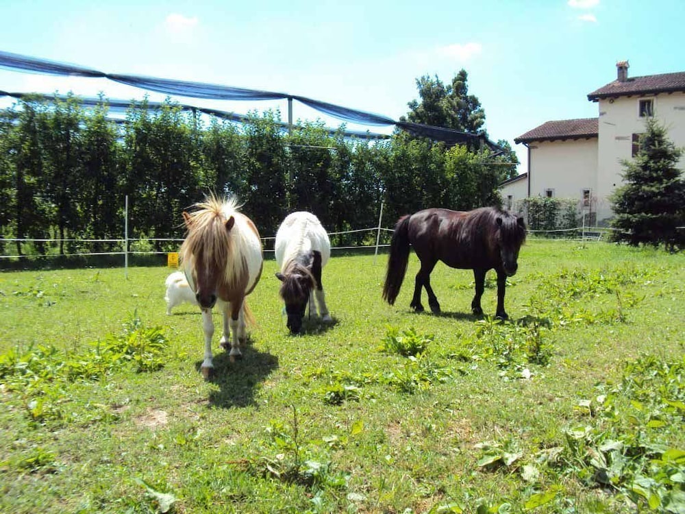 Agriturismo Ca' Del Ferro