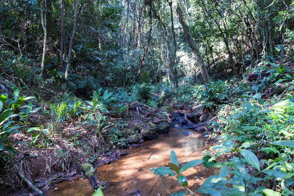Sitio Natureza piscina e churrasqueira