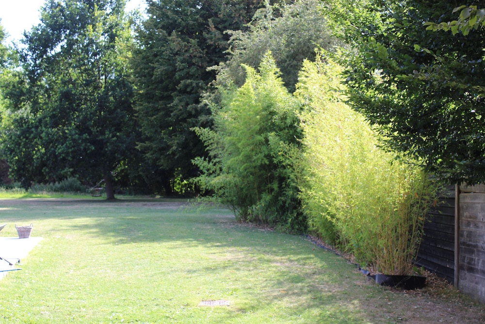 Photo 48