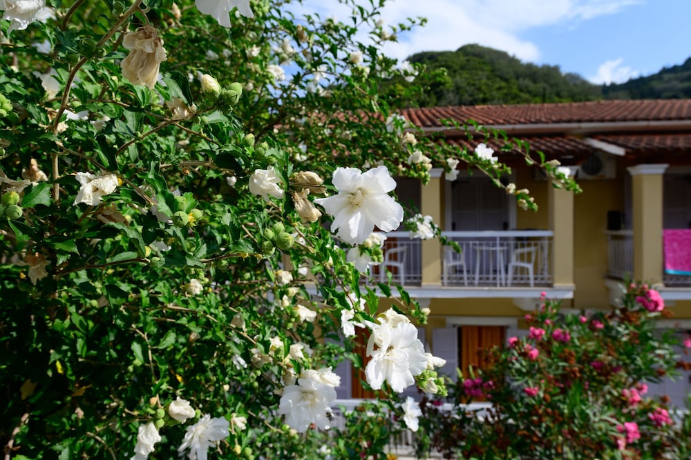 Marina Apartments