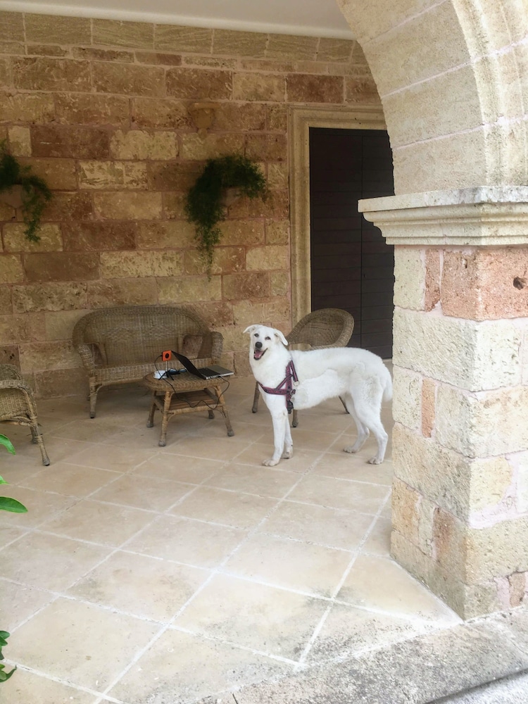 Photo 26