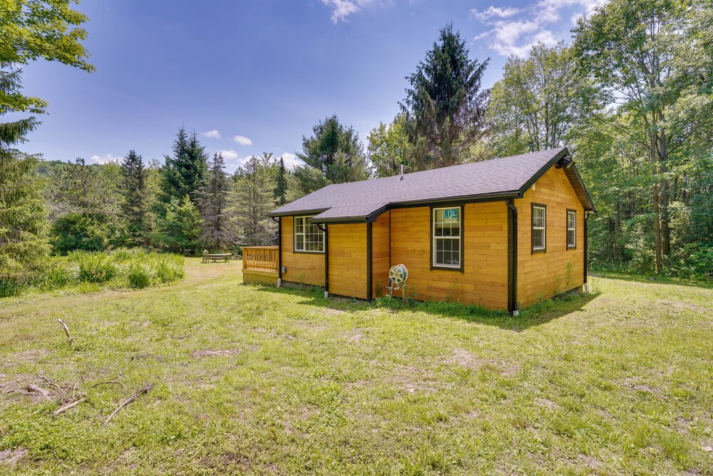 Cozy Ellicottville Cabin w/ Water Views - Near Ski view 4