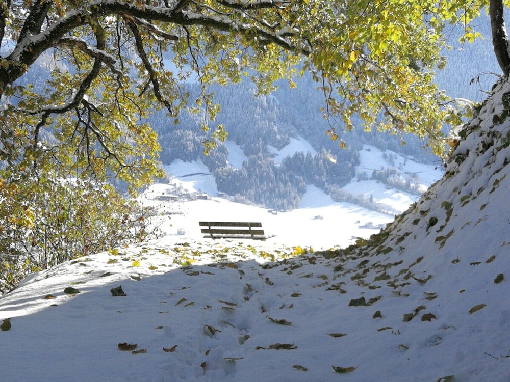 Apartment in Hippach Near Mayrhofen Ski Area