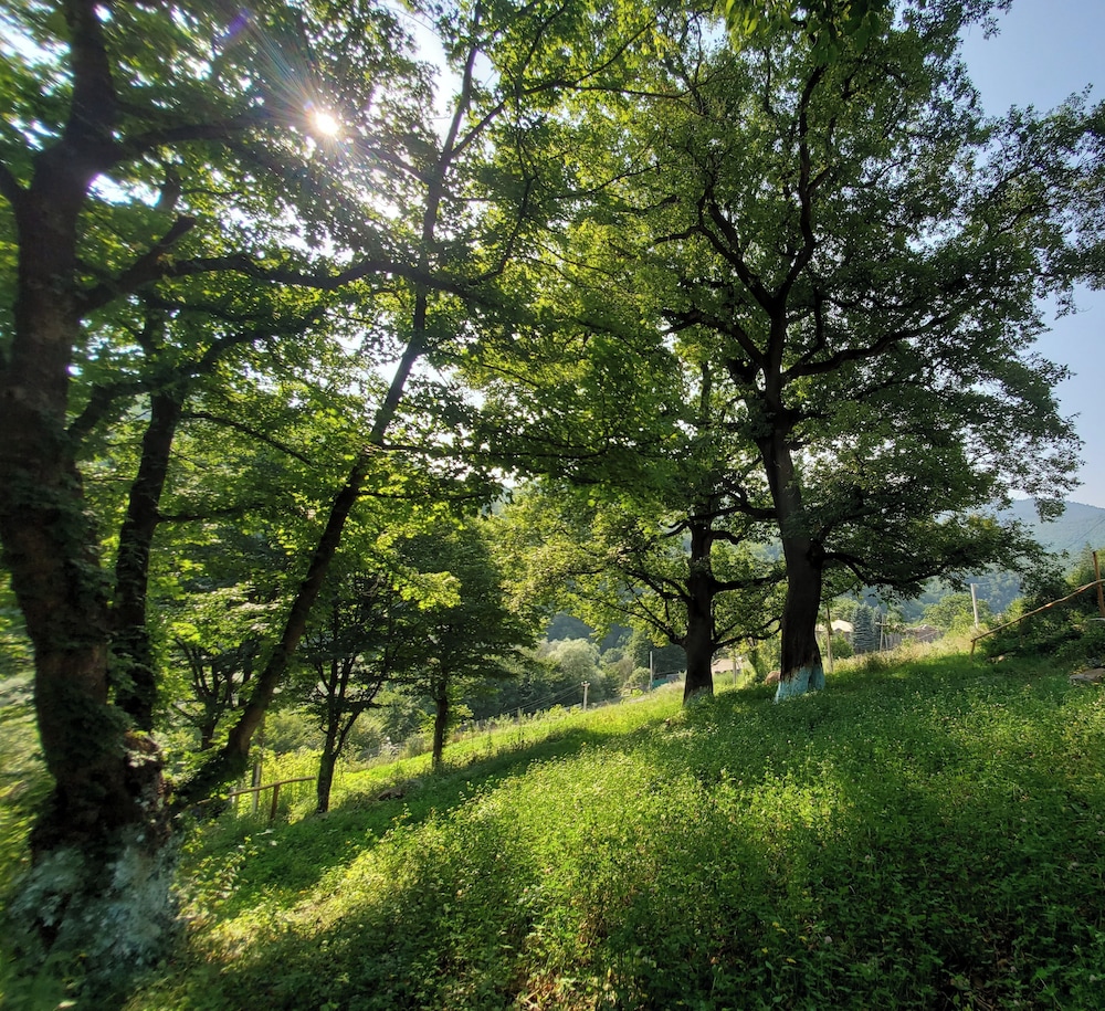 The Whispering Oaks Retreat