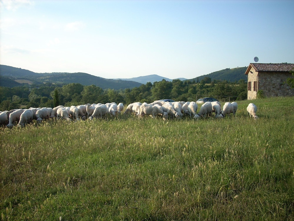Agriturismo Villa Martis