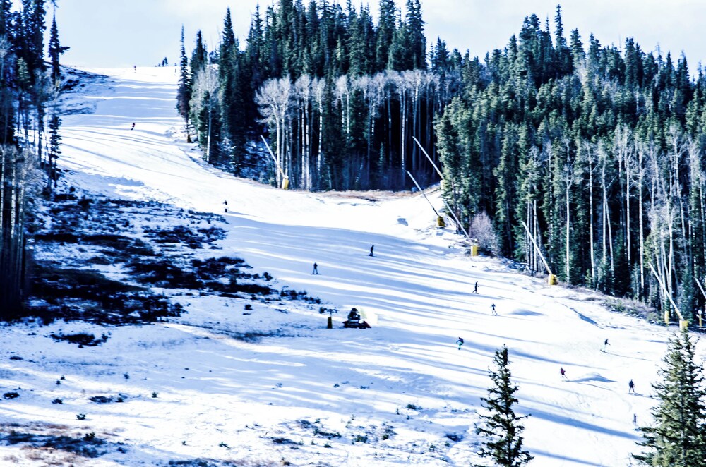 Slopeside #2789