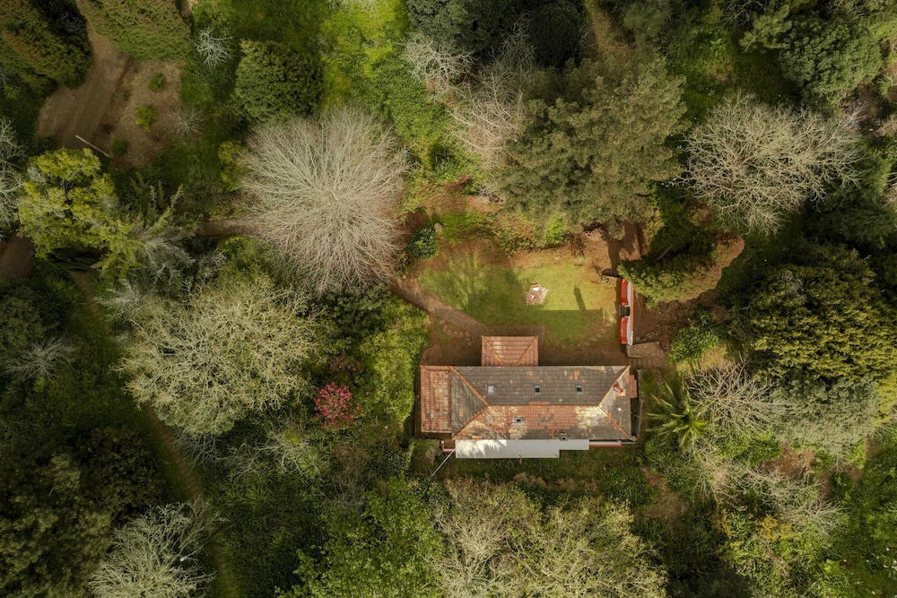 Surrounded by Nature - Casa da Cebola view 5