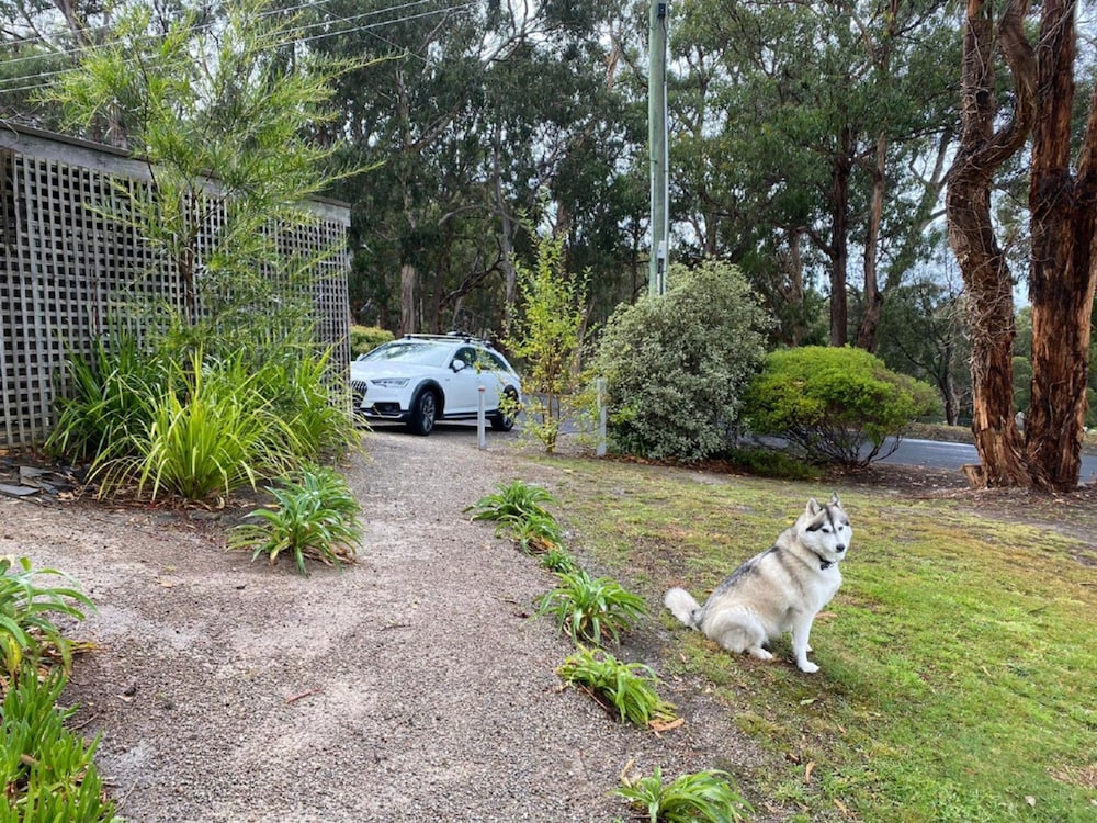 Groovy Log House Lorne Ocean View Log House Pet Friendly Freshly Renovated