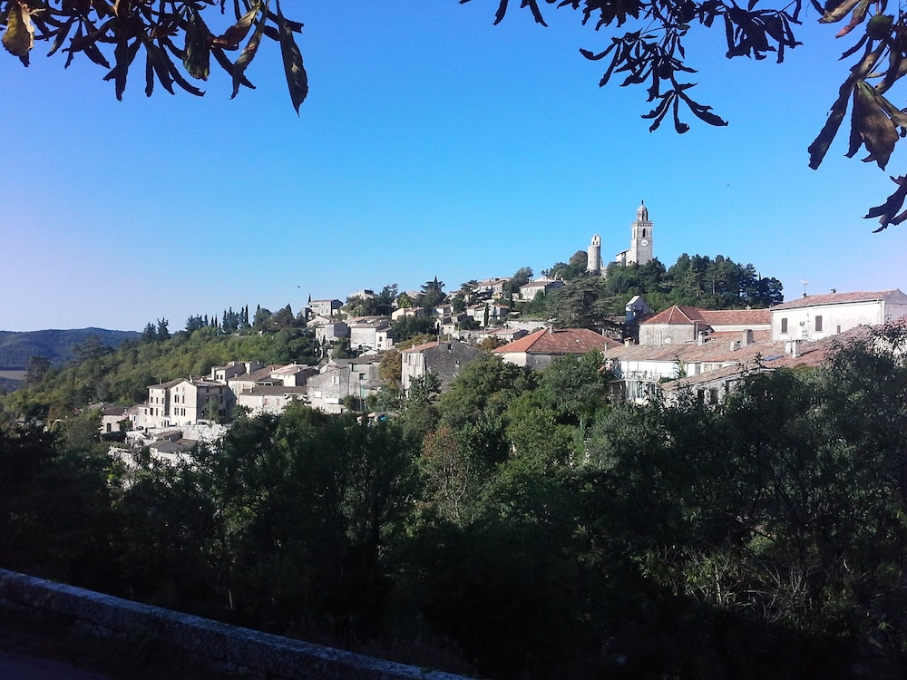 Photo 24