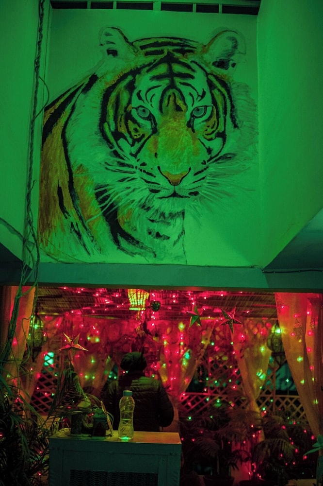 The Pink Chapter Hostel, Jaipur