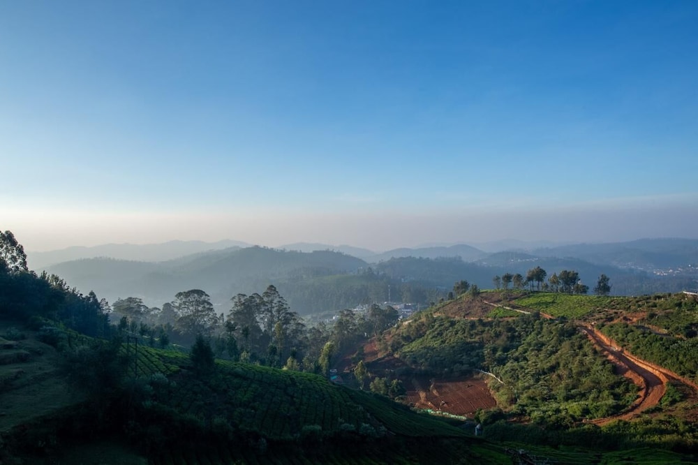 Paradise Point Ooty