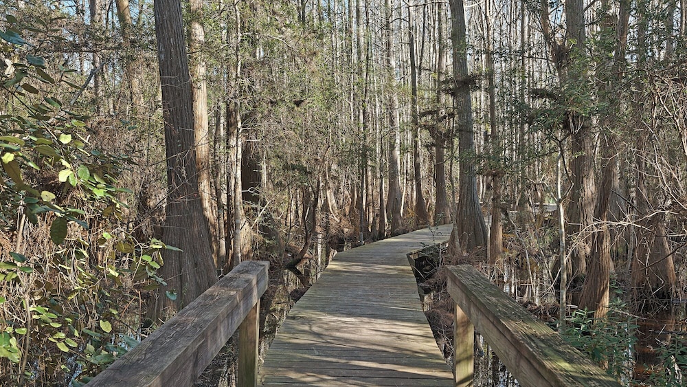 3BR Home in Seagrove Beach + Free Tickets: Bikes, Dolphin Cruise & More!