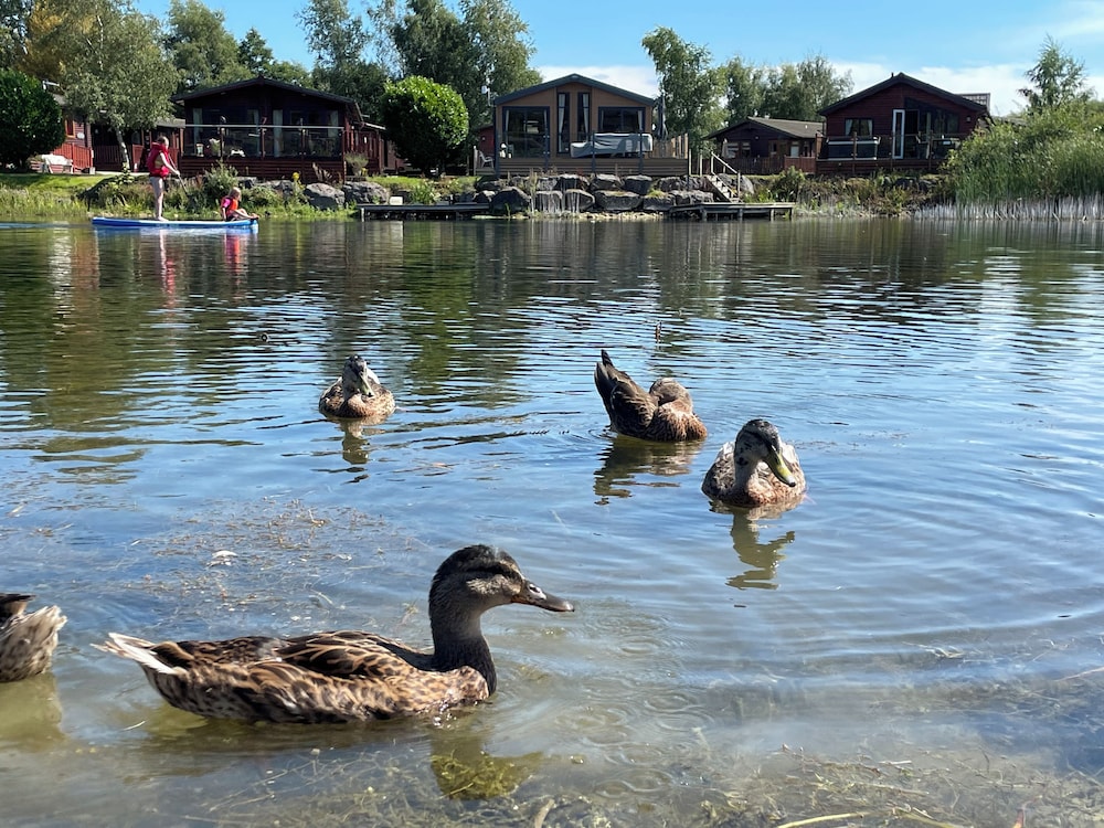 Lakeside 18