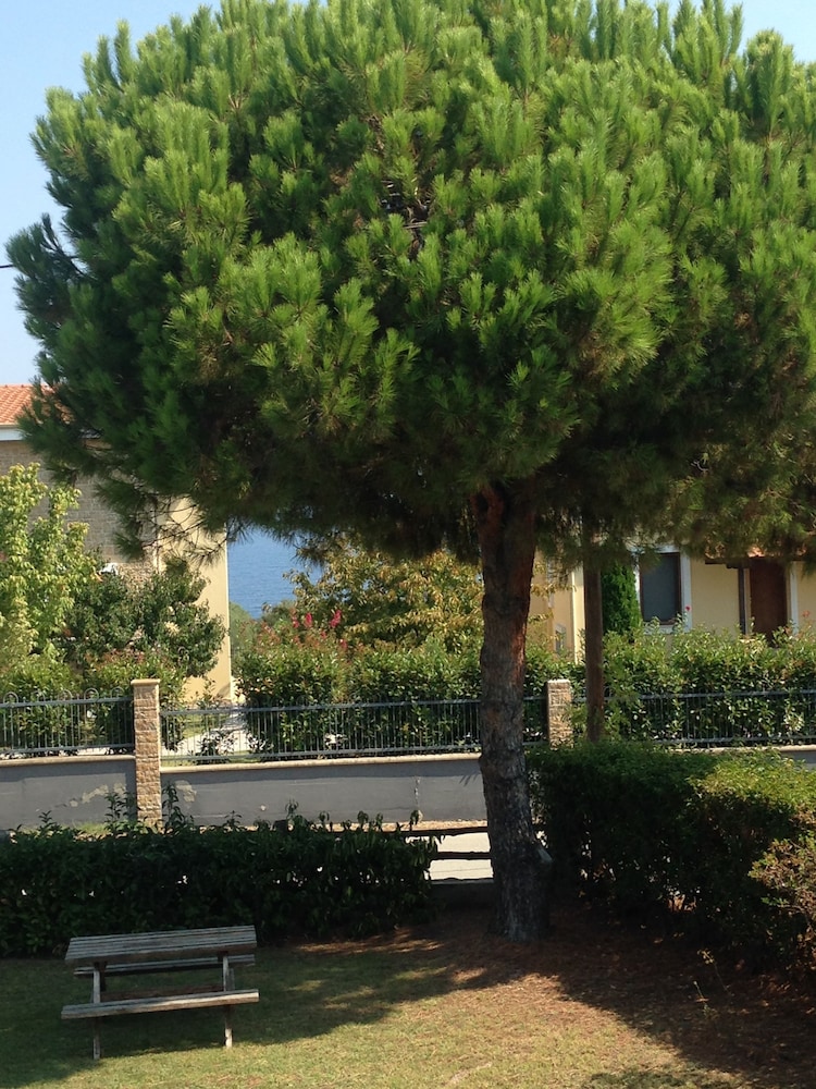 Marios house