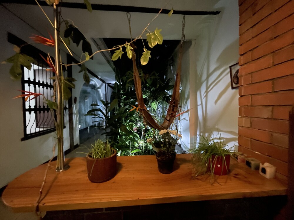 Hostal Chontaduro