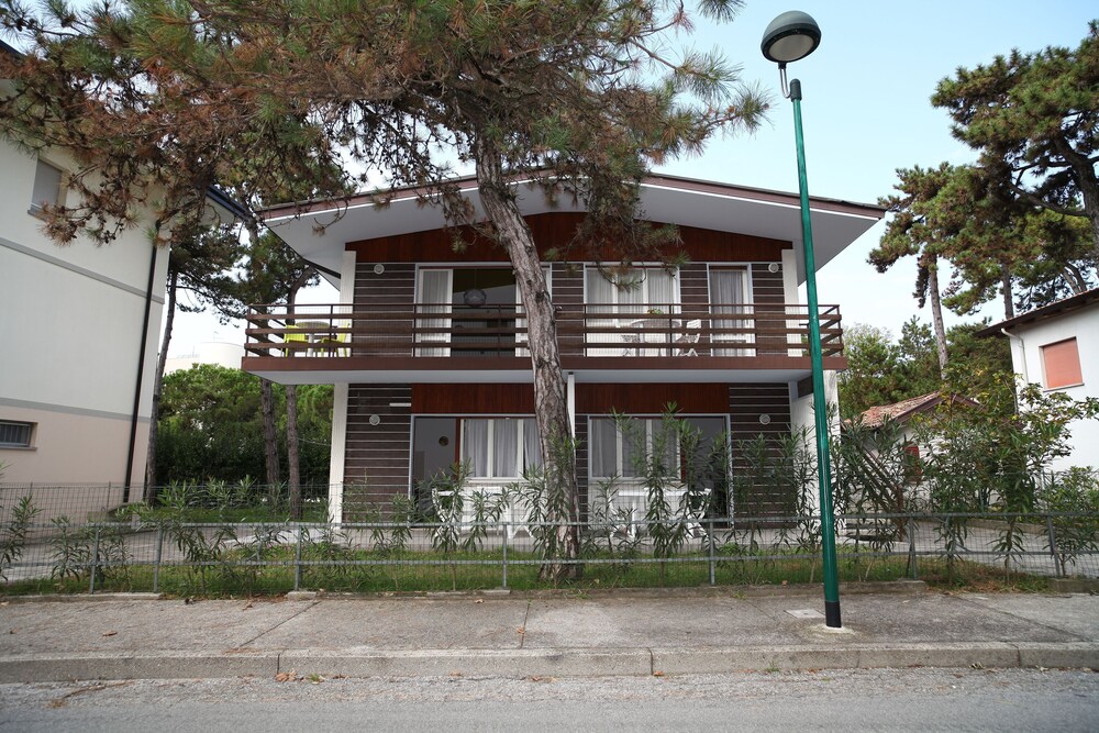 Photo 51