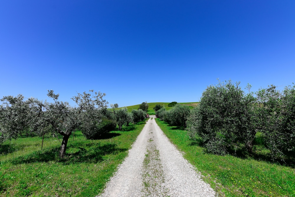 Agriturismo Buonavista - Parco della Maremma
