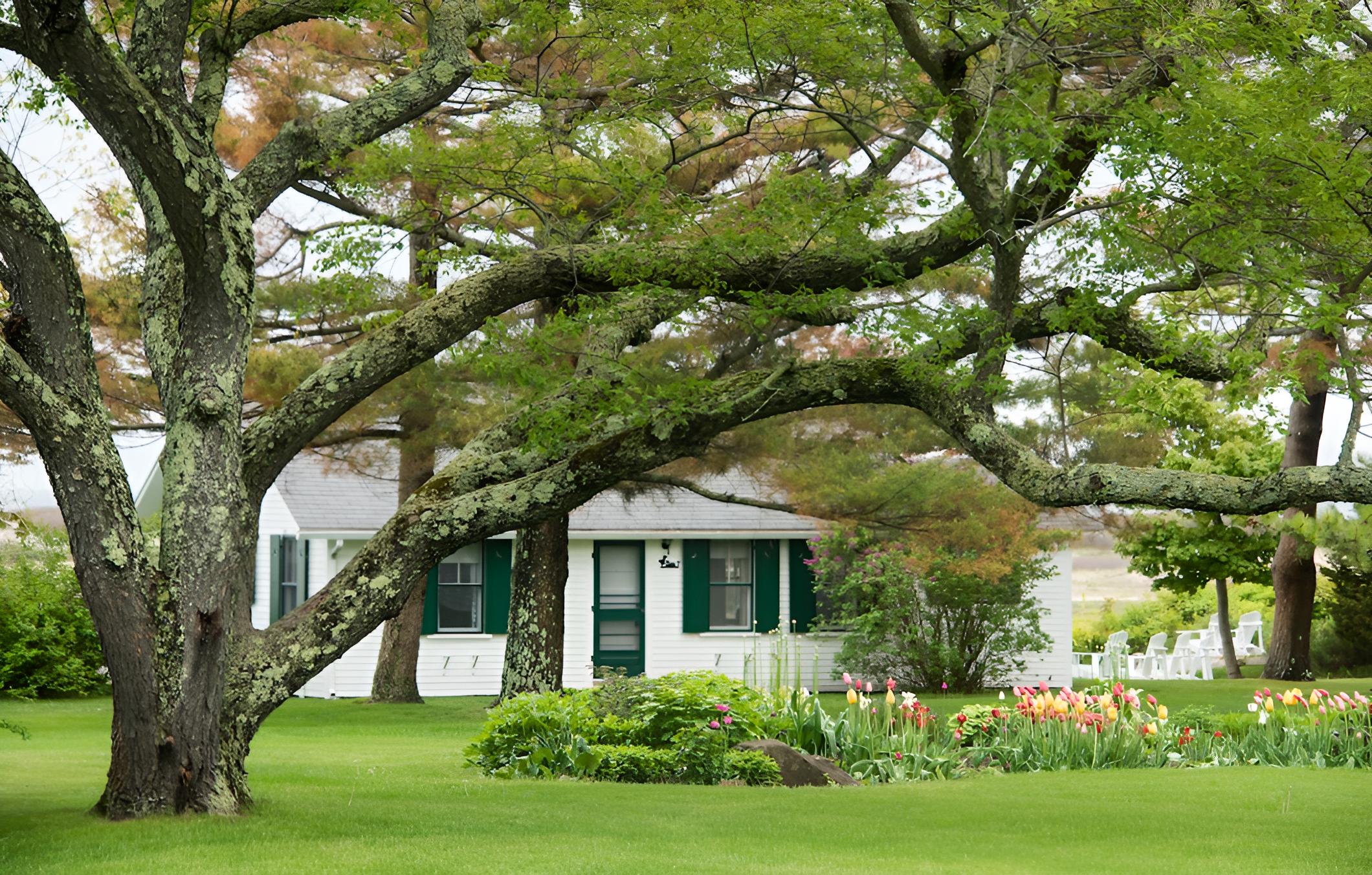 Dunes on the Waterfront - Property Image 35